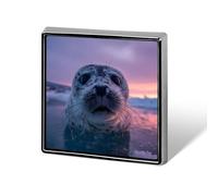 Sea Lion in Snow Cute Button Pins Square Badge Cool Personalised Pattern Brooches for Bag Hat