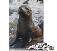 Sea Lion on Rocks Puzzle 500 Pieces Jigsaws Puzzles for Adults Educational Game for Adult Teenagers 500pcs (52x38cm)