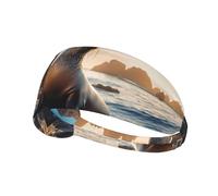 Sea Lion on The Rocks Outdoor Sports Sweat-Absorbing Headband, Fitness Sports Yoga Cycling Headband, Sports Elastic Headband,
