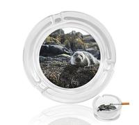 Sea Lion on The Rocks Round Glass Ashtray Washable Simple Ash Trays