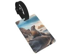 Sea Lion on The Rocks Travel Airplane Luggage Tags, Privacy Protection Luggage Accessories, Women's and Kids Travel Backpack Luggage Tags,