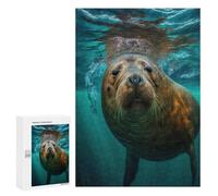 Sea Lion Underwater Close-Up Decorative Jigsaw for Grown-Ups, 300 PCS - Gift for Winter Evenings; for Couples, Friends And Family