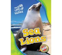 Sea Lions