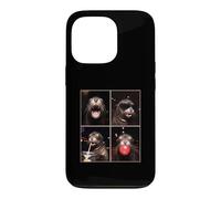 Sea Lions funny Sea Lion Case for iPhone 13 Pro