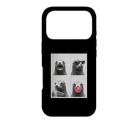 Sea Lions funny Sea Lion Case for iPhone 17 Pro