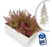 Sea Moss/Sea Foam Base Cardboard Size 25 x 20 x 15 cm Ideal for Model Building Forests, Architectural Model Building, Trees, Bushes, Dioramas, Miniature World, Model Railways & Landscape Design