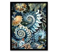 Sea Ocean Life Coral Reef Forms Design Framed Art Print Artery8 Blue A4