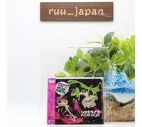 Sea O'Colors - Splatoon Live in Makuhari