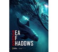 Sea of Shadows