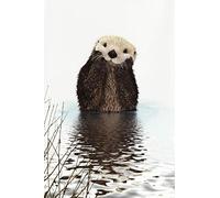 Sea Otter Journal: Cute Seaotter lined notebook diary track log or journal gift to write notes and ideas for home use school and homework 6x9 120 pages