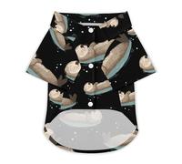 Sea Otter Sleeping on The Water