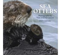 Sea Otters: Photographs by Tom and Pat Leeson 2027 Wall Calendar