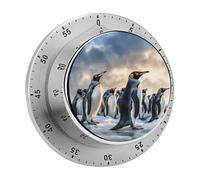 Sea Penguin Kitchen Timer - Mechanical Visual Timer, Stainless Steel Digital Timers with Magnetic Base Egg Timers for Hard Boiled Eggs 60-Minute Countdown Kitchen Clock for Cooking