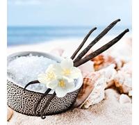 Sea Salt & Vanilla Wax Melts | 20x 7g Strong Scented | Luxury Gift Set Wax Melts | Over 100Hrs Burn Time Per Box | Vegan & Pet Friendly | Cruelty & Eco Friendly | Handcrafted UK