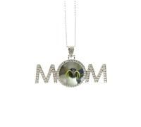 Sea Science Nature Antarctic Penguin Picture Mothers Day Gift for Mom Nana Grandma Necklace Birthday Jewelry