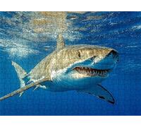 Sea Shark Puzzle - 5000 Piece Jigsaw Puzzles for Adults - The Back Features Printed Letter Guides - The Pieces fit Together Snugly - Wooden Puzzles for Adults - Gifts Family 61.6 X 41.5 Inch s7h-428