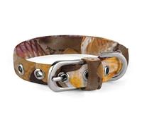 Sea Shell Treasures Dog Collar Adjustable Martingale Pet Collar Female Male Cute Cat Collars No Pull Dog Choker Collars for Small Medium Large Pet