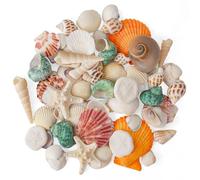 Sea Shells Mixed Beach Seashells 12 Kinds, Various Sizes Natural Seashells Beach Party DIY Fish Tank Vase Filler