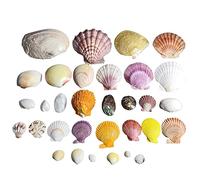 Sea Shells Natural Seashells Conch Cone for Beach Themed Party DIY Craft Fishtank Vase Filler Home Wedding Decoration(C)