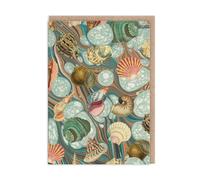 Sea Shells On Marble Greeting Card