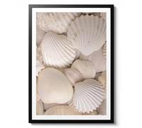 Sea Shells Photographic Print, Nature Themed Wall Art, Beige and Grey Sea Decor Poster, Archival Matte, A3 (Print Only) - 42x29.7cm