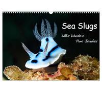 Sea Slugs - Little Wonders - Pure Beauties (Wall Calendar 2026 DIN A3 landscape), CALVENDO 12 Month Wall Calendar: Little Wonders - Pure Beauties Undersea