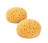 Sea Sponge 2 Pack | Natural Soft Exfoliating Bath & Face Sponges | Ultra-Soft, Hypoallergenic & Gentle for Sensitive Skin | Premium Hand-Harvested | Atlantix Accessories