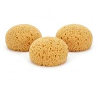 Sea Sponge 3 Pack | Sea Sponge-Inspired Exfoliating Bath & Face Sponges | Softens When Wet for Rich Lather | Durable Synthetic Blend | Long-Lasting Everyday Alternative | Atlantix Accessories