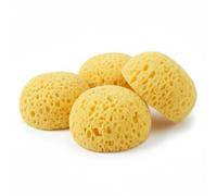 Sea Sponge 4 Pack | Sea Sponge-Inspired Exfoliating Bath & Face Sponges | Durable Synthetic Blend | Long-Lasting Everyday Alternative | A Accessories (4, Pack of 4)