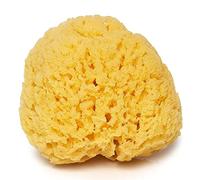 Sea Sponge for Bathing 5 inch-Softly Rough but Not Skin Irritating - Yellow, Natural Bath Sponge-Renewable Resource - Natural Sponge for Body and Shower-Lathers & Washes Really Well