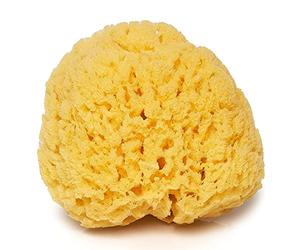 Sea Sponge for Bathing 5 inch-Softly Rough but Not Skin Irritating - Yellow, Natural Bath Sponge-Renewable Resource - Natural Sponge for Body and Shower-Lathers & Washes Really Well