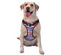 Sea Stars Pattern Dog Harness - Lightweight,Soft,Adjustable Small Harness and Leash Set, Suitable for Puppy Small and Medium-Sized Dog-Large