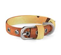 Sea Sunset Flying Dragon Dog Collar Adjustable Soft and Comfortable Puppy Collars with Metal Buckle Pet Collar for Small Medium Pet