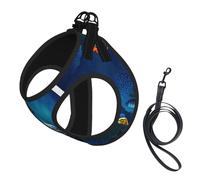 Sea Tropical Fish,Pet Harness,Adjustable Reflective Dog Harness,Pet Leash Vest,S