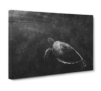 Sea Turtle Canvas Print | Gallery Wrapped 30mm Frame Wall Art | 20x14 inches | Ready to Hang | Abstract Animals Picture | Living Room Bedroom Lounge Office