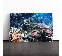 Sea Turtle Coral Reef Canvas Print | Gallery Wrapped 30mm Frame Wall Art | 20x14 inches | Ready to Hang | Modern Animals Picture | Living Room Bedroom Lounge Office