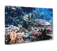Sea Turtle Coral Reef Canvas Print | Gallery Wrapped 30mm Frame Wall Art | 24x16 inches | Ready to Hang | Modern Animals Picture | Living Room Bedroom Lounge Office