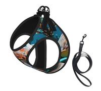 Sea Turtle print Dog Harness and Leash Set, Reflective Adjustable Puppy Vest for Small Medium Large Dogs, Cats