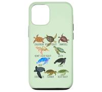 Sea Turtle Species Guide Ocean Underwater Lover Marine Life Case for iPhone 12/12 Pro