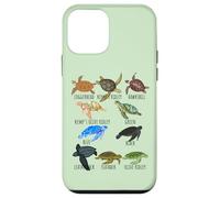 Sea Turtle Species Guide Ocean Underwater Lover Marine Life Case for iPhone 12 mini