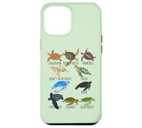 Sea Turtle Species Guide Ocean Underwater Lover Marine Life Case for iPhone 12 Pro Max