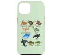 Sea Turtle Species Guide Ocean Underwater Lover Marine Life Case for iPhone 13