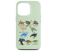 Sea Turtle Species Guide Ocean Underwater Lover Marine Life Case for iPhone 13 Pro