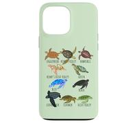 Sea Turtle Species Guide Ocean Underwater Lover Marine Life Case for iPhone 13 Pro Max