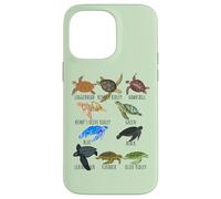 Sea Turtle Species Guide Ocean Underwater Lover Marine Life Case for iPhone 14 Pro Max