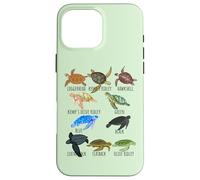 Sea Turtle Species Guide Ocean Underwater Lover Marine Life Case for iPhone 16 Pro Max