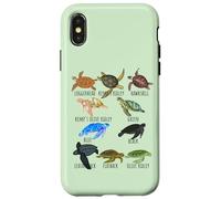 Sea Turtle Species Guide Ocean Underwater Lover Marine Life Case for iPhone X/XS