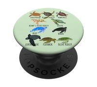 Sea Turtle Species Guide Ocean Underwater Lover Marine Life PopSockets Adhesive PopGrip