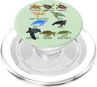 Sea Turtle Species Guide Ocean Underwater Lover Marine Life PopSockets PopGrip for MagSafe