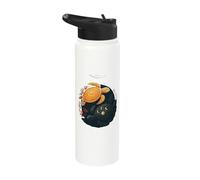 Sea Turtle Sun Moon Ocean Marine Life Art Stainless Steel Insulated Water Bottle